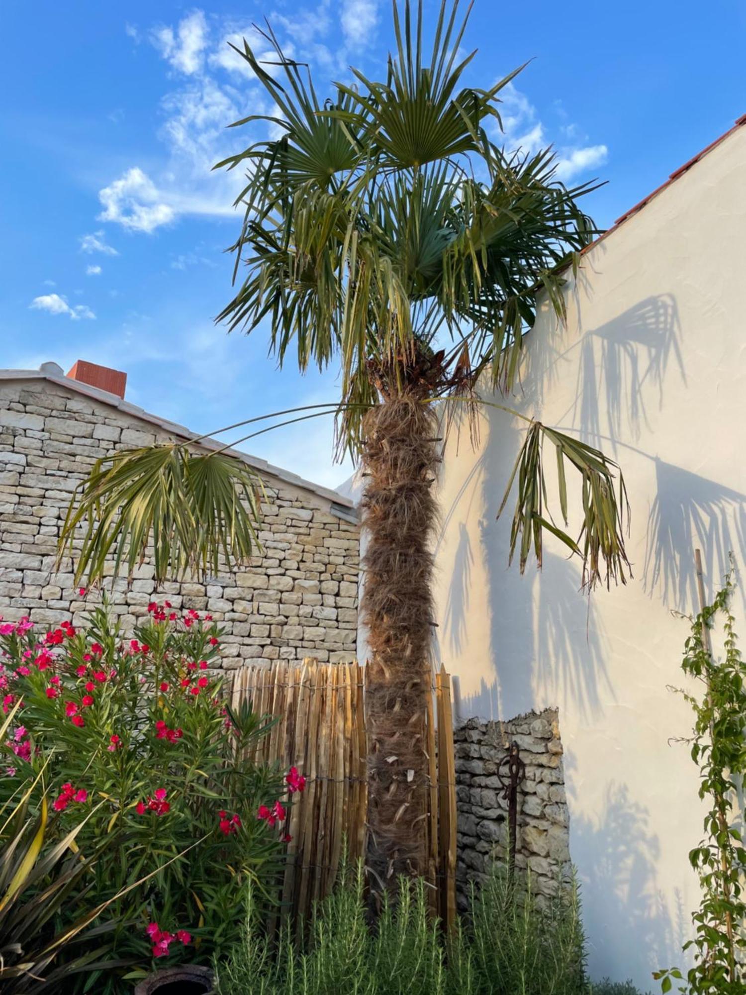 Maisons 322 - Maison La Flamboyante Le Bois-Plage-en-Ré Exteriér fotografie